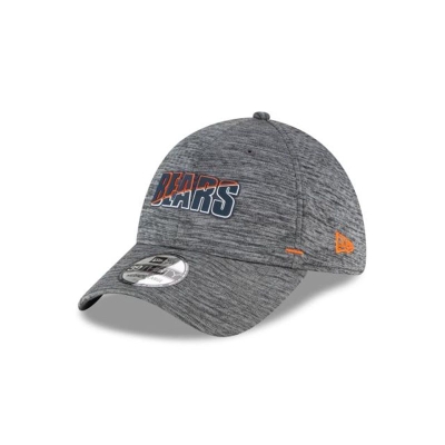 Chicago Bears Gorra | New Era NFL Summer Sideline 39thirty Stretch Fit Cap Mexico - Grises